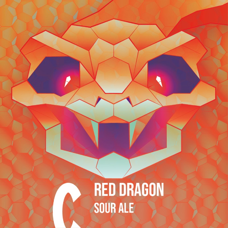 sour ale beer